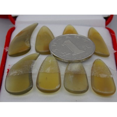 951-八片盒装牛角琥珀凹槽指甲