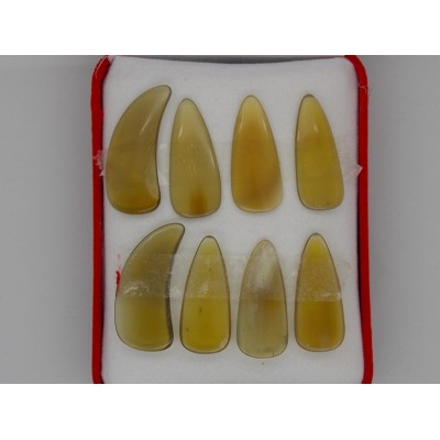 951-八片盒装牛角琥珀凹槽指甲
