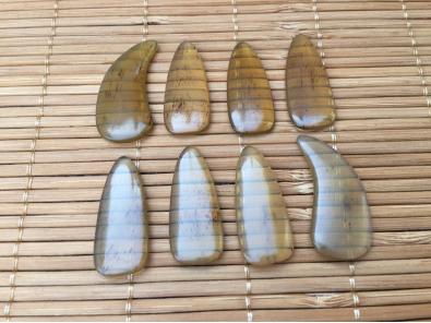 1059-八片袋装牛角琥珀色双面弧指甲