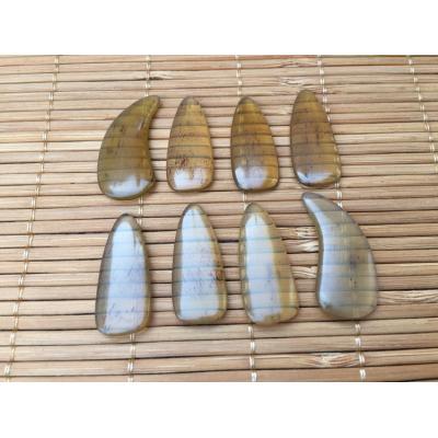 1059-八片袋装牛角琥珀色双面弧指甲
